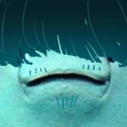 不織布マスク さんのプロフィール写真