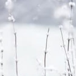 りんた さんのプロフィール写真